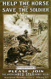 Help the Horse to Save  the Soldier